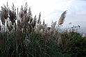 Parco Europa Autunno_021